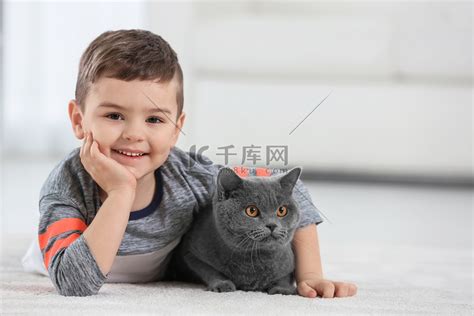 猫在家生孩子